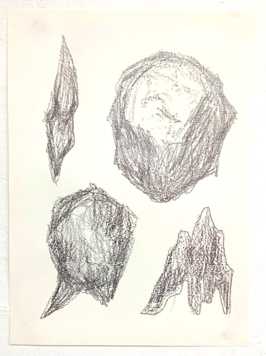 Untiled, graphite on paper 29x40cm 2021